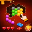 Play Fill Hexa Puzzle Game