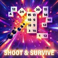 Play Shoot & Survive online